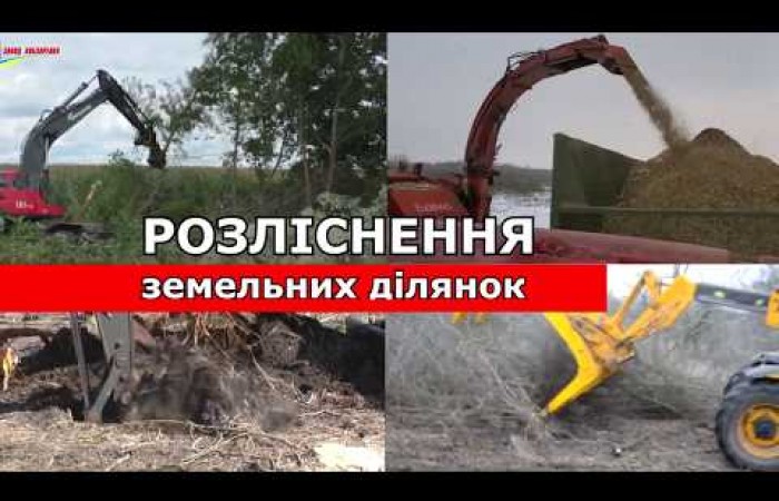 Спецтехника: спиливание валка обрезка деревьев, корчевание пней, перевозка древесины, щепа
